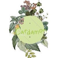 Статистика Дзен Cardamon - натуральная косметика