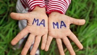 Статистика Дзен Мама Катя