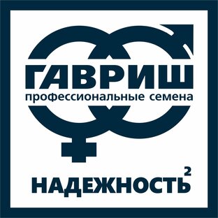 Статистика Дзен ГавришПроф