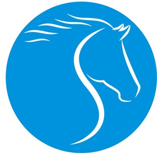 Статистика Дзен Интересно о лошадях