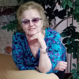 Статистика Дзен Огородник из Сибири