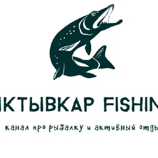 Статистика Дзен вячеслав шкрабалюк