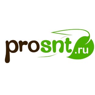 Статистика Дзен ProSnt.ru портал загородной жизни