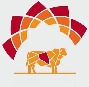 Статистика Дзен Qazaq Agro