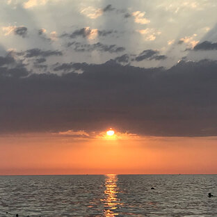 Дзен slam_aleykum статистика