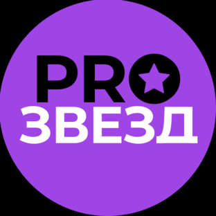 Статистика Дзен ProЗвезд