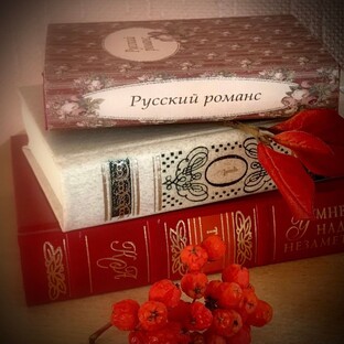 Статистика Дзен Книжный мiръ