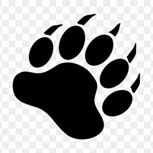 Дзен Александр Бурлаков статистика