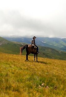 Статистика Дзен Тропами...