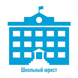 Статистика Дзен  Школьный юрист