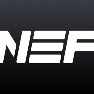 Статистика Дзен Сеть фитнес-клубов NEF