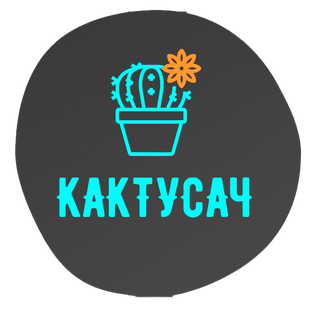 Статистика Дзен Кактусач