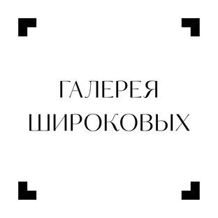 Статистика Дзен Галерея Широковых