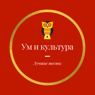 Статистика Дзен Ум и культура