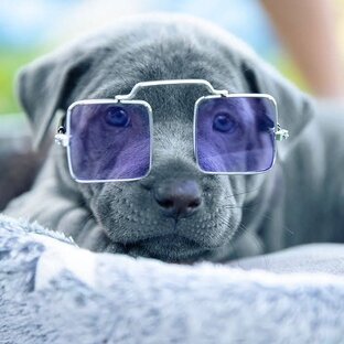 Дзен Мелочи жизни  статистика