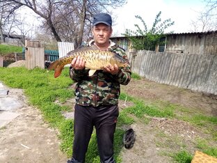 Статистика Дзен Рыболов Алтая