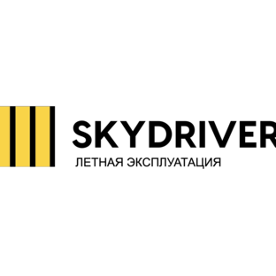 Статистика Дзен Skydriver