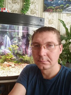 Статистика Дзен Аквариум для души