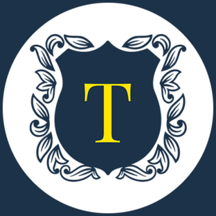 Статистика Дзен timofeev.group