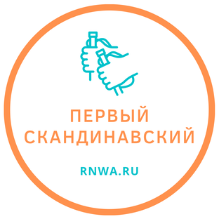 Статистика Дзен Первый скандинавский