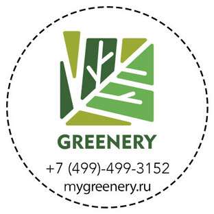 Статистика Дзен Greenery озеленение интерьеров и экстерьеров