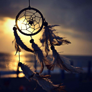 Дзен Прогнозы Карт Таро статистика