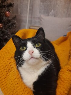 Статистика Дзен В гостях у Ласки🐱🐈🐈‍⬛