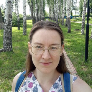 Статистика Дзен Вероника Андреева