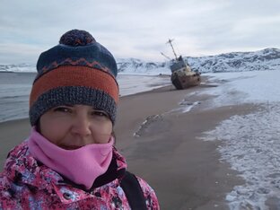 Статистика Дзен Полиринна. Поедем и поглядим