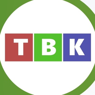 Статистика Дзен Каневская телестудия 