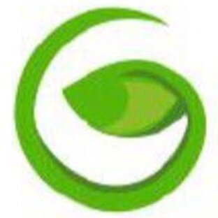 Статистика Дзен GREEN DACHA