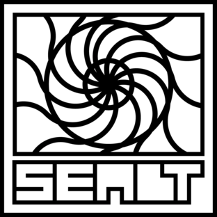 Статистика Дзен SEALT. Винил. Пластинки в эксклюзивной упаковке