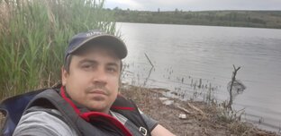 Статистика Дзен bobtsunami