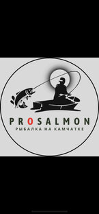 Статистика Дзен Рыбалка на Камчатке/PROSALMON