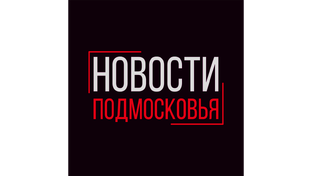 Статистика Дзен Новости Подмосковья