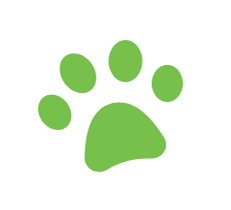 Статистика Дзен Pet-Yes. Биржа домашних животных