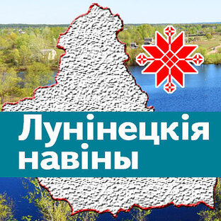 Статистика Дзен ЛУНИНЕЦ онлайн