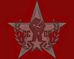 Дзен Blitz Knowledge Base статистика