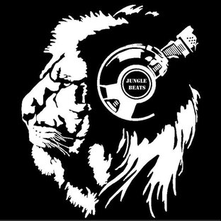 Дзен ⚠️BassHub№1💀 статистика