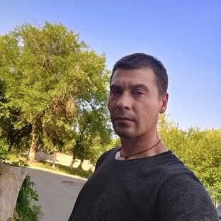 Дзен танки статистика