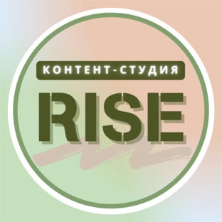 Статистика Дзен Контент-студия Rise