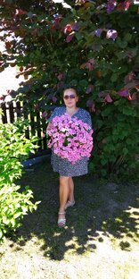 Статистика Дзен Удачная Дача