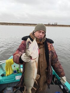 Статистика Дзен Евгений Семейшев. Жизнь рыбака.