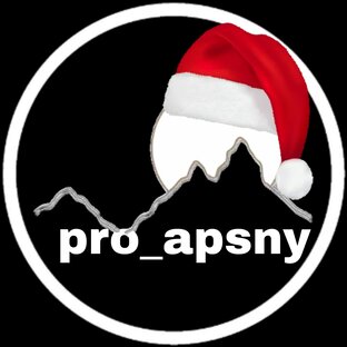 Статистика Дзен pro_apsny (VK & insta)