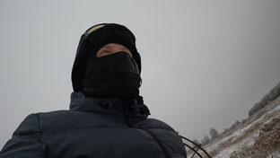 Дзен На аэролодке. статистика