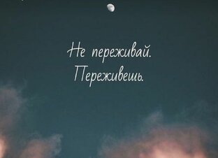 Дзен Пожизни о жизни  статистика