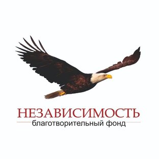 Статистика Дзен Независимость фонд