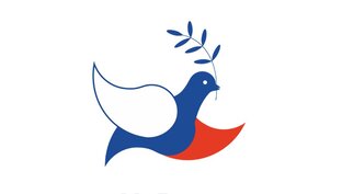 Статистика Дзен МиРные микрофинансы 