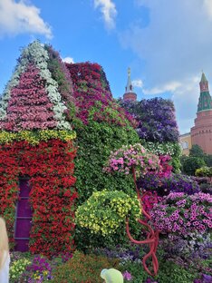 Дзен Жизнь-как она есть! статистика