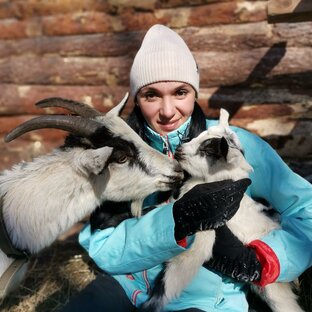 Статистика Дзен Дикое подворье |Личное подсобное хозяйство